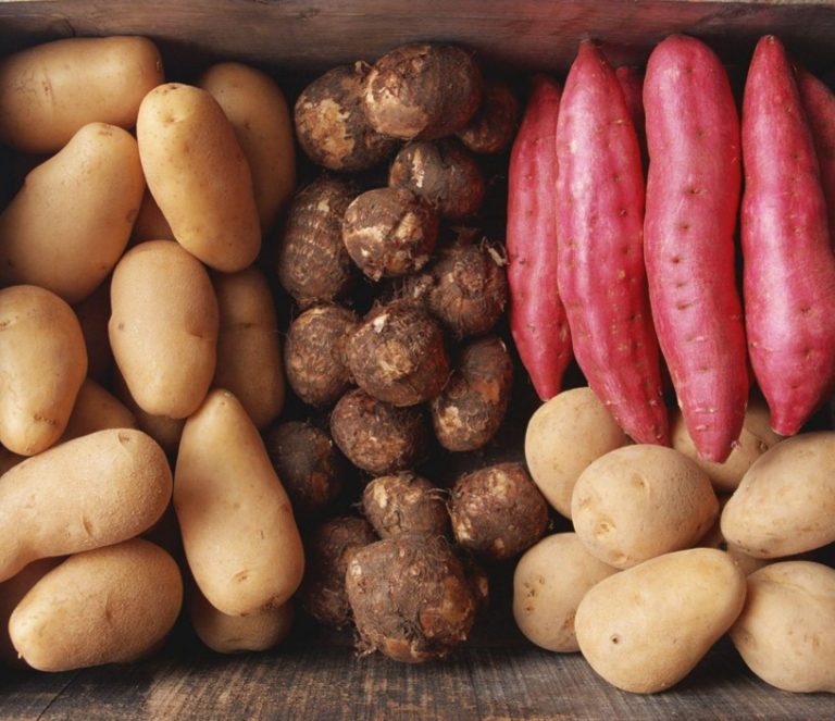 Potato Vs Sweet Potato: Which One Is Healthier? – Re Welle